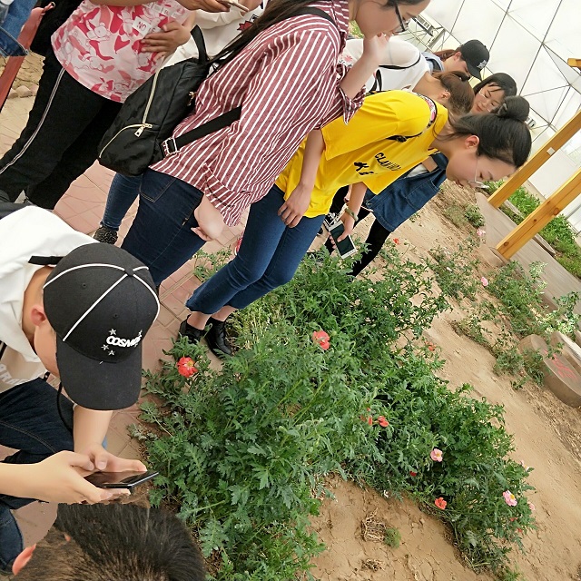 【完满班级】汇力凝神  完满园艺——食品与环境学院园艺1601班农作物鉴赏会完满班级活动