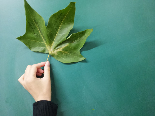 【完满班级】落叶情书 奋勇向前——淬炼商学院十月完满班级主题活动（六十六）