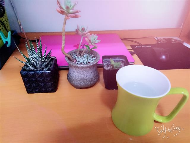 【前行】第104期:狂妄女生节 做自己的英雄