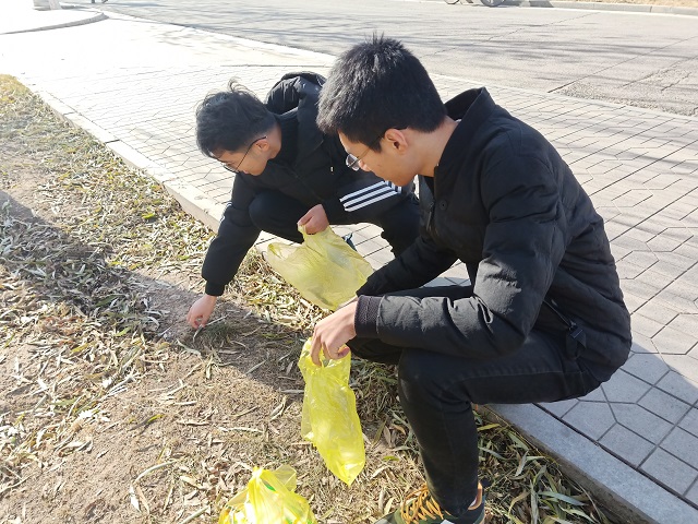 【完满班级】寻找落叶的美——软件1805班“落地生花”创意活动