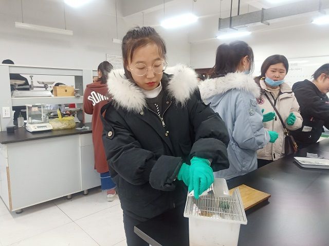 【社团快讯】思辨小课堂“小白鼠系列实验”——倾心动物科学社活动