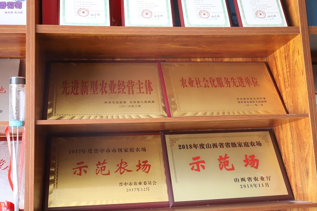 【三下乡】Follow me！带你揭秘长在空中的“彩虹”西瓜——大数据学院、信息工程学院“智·惠农”太谷农高区产业振兴实践团