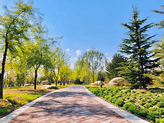 前行第177期:花开右岸 春抚信院