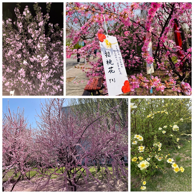 【完满班级】迎接美好 风华正茂——经济与管理学院四月完满班级纪实（十）