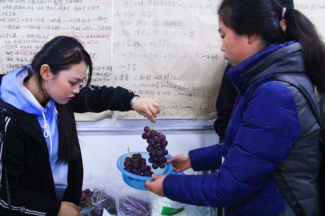 巧手巧心展巧艺——食品与环境学院第五届“蒸馏吧 水果们”食品酿酒大赛