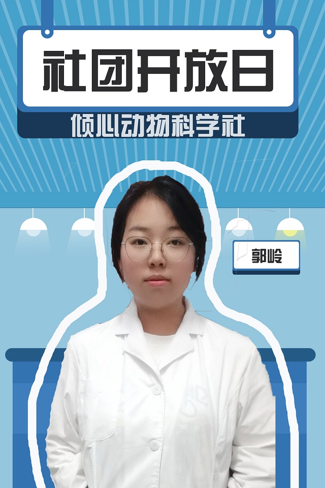 【社团开放日】才知道,动物医生竟在我身边!