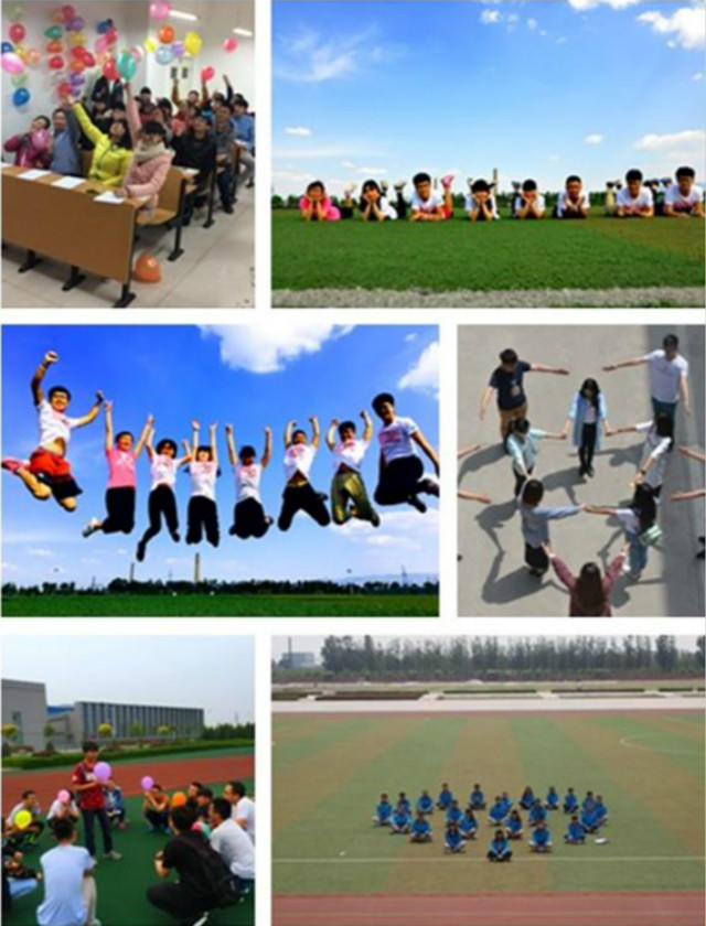 【荣誉周】十佳五四红旗团支部·信工系信管1401班团支部