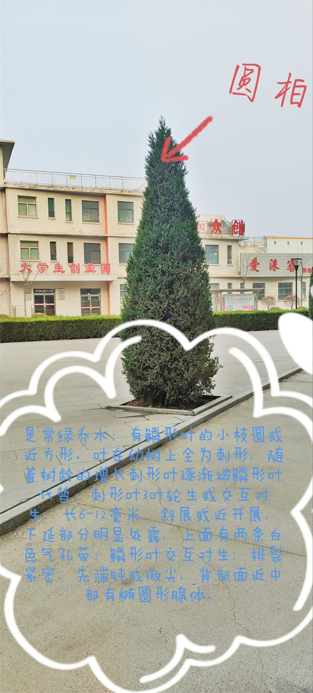 【B类社团】绿化甬江大地 点缀雄镇家园——经济与管理学院“植新绿,寓希望”绿化进校园活动