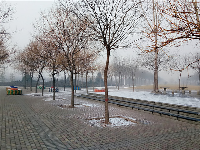 【前行】第75期:信院初雪 如果不打伞 是不是可以一路走到白头