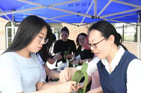 粽叶飘香迎端午 右岸湖畔度佳节——远景端午节师生齐聚一堂