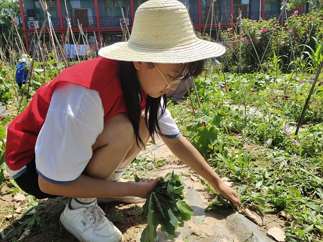 【三下乡】走进田间忆苦思甜 绽放青春使命在肩——大数据学院、信息工程学院“乡村振兴·青年先行”实践团暑期社会实践纪实(五)