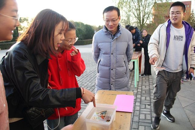 蔚蓝之星 绿色生态——食品与环境学院首届“蔚蓝之星”生态缸造景大赛
