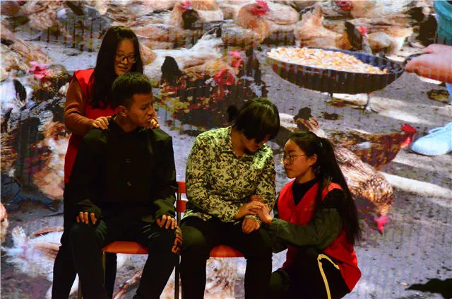 志愿之星•杨博：怀揣青春梦想 书写志愿人生