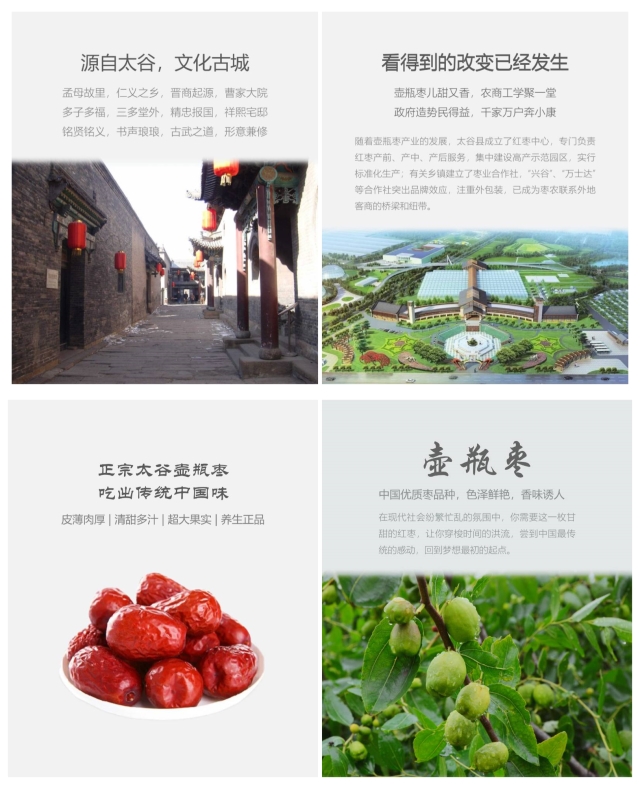 【三下乡】互联网+农业 开辟壶瓶枣销售新路径——淬炼商学院2018年暑期“三下乡”社会实践活动