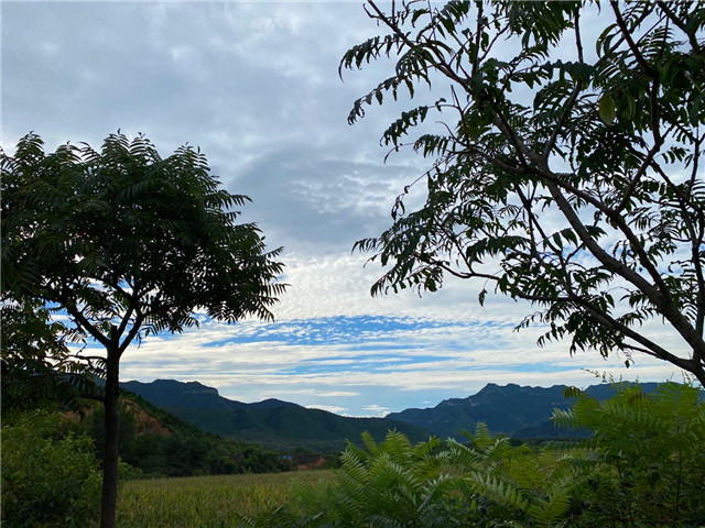 【暑期社会实践】融入和谐 魅力乡村——智能工程学院“美丽乡村”微电影暨平面摄影作品征集活动