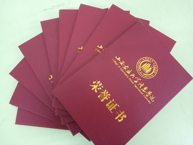 【体育之星·孙祥力】脚下所踏的路  任自己走