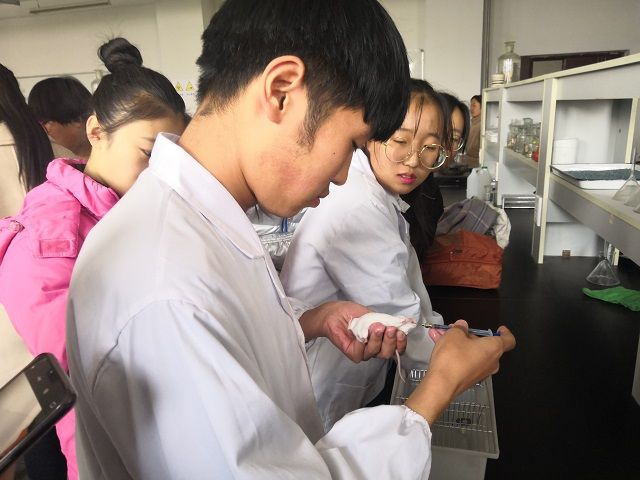 学长计划第597期:知识于脑 实践在心——食品与环境学院“学长计划·百花讲堂”第70期