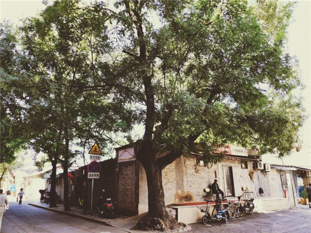 淬炼商学院举办第五届摄影大赛:用镜头记录时光与记忆