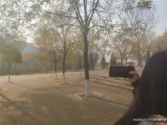 【完满班级】展现摄影风采 绽放美丽瞬间——数据1801班完满班级