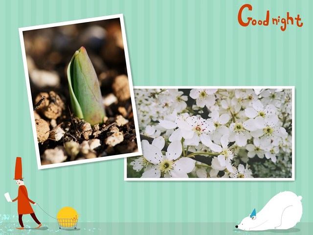 【完满班级】 与君享春意盎然——大数据学院数字1802班完满班级活动