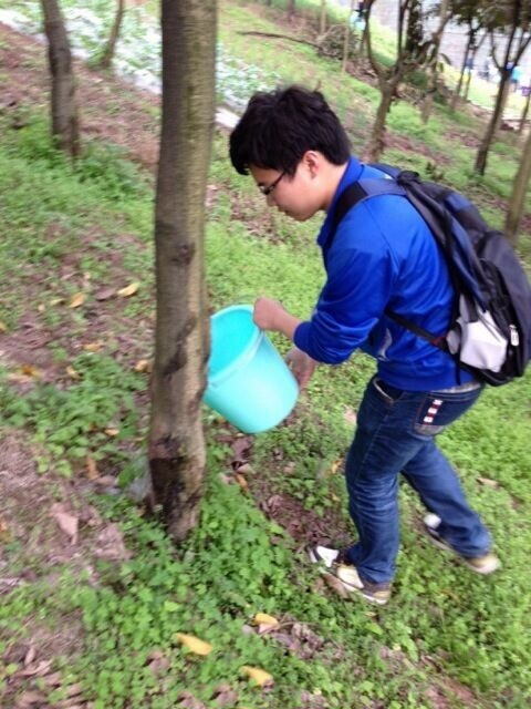 【完满班级】种植绿色希望 收获明日灿烂——大数据学院数据1801班完满班级