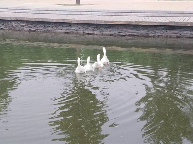 【完满班级】心动不如行动——食品与环境学院食安1702开展完满班级活动