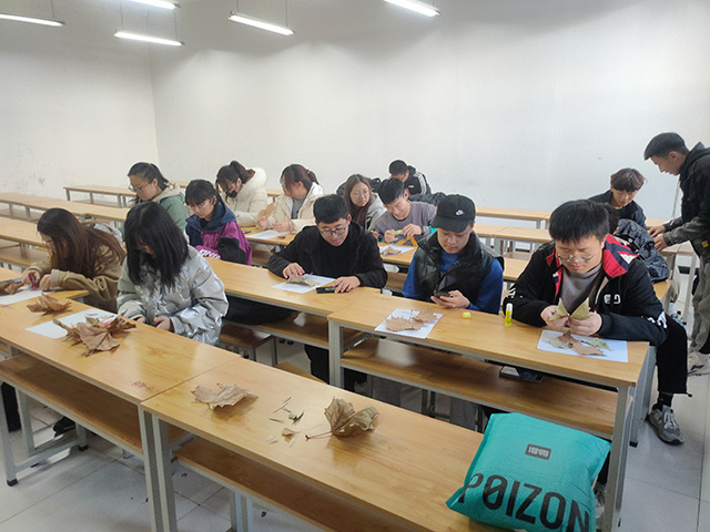 【完满班级】凝聚青春力量 闪耀青春光彩——经济与管理学院十一月完满班级纪实(九)
