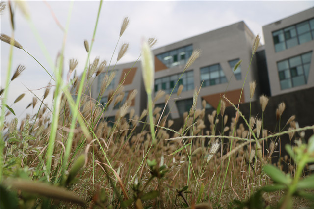 花开有落时 人无再年少