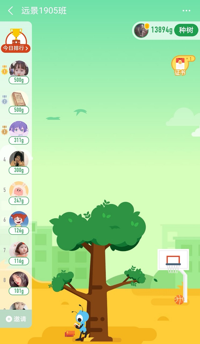 【完满班级】种下绿植 从我做起——远景1905班3月完满班级活动