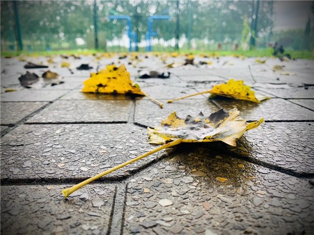 专访舞者张鑫磊 郭华 王浩志:“我们代表信院街舞出战!”