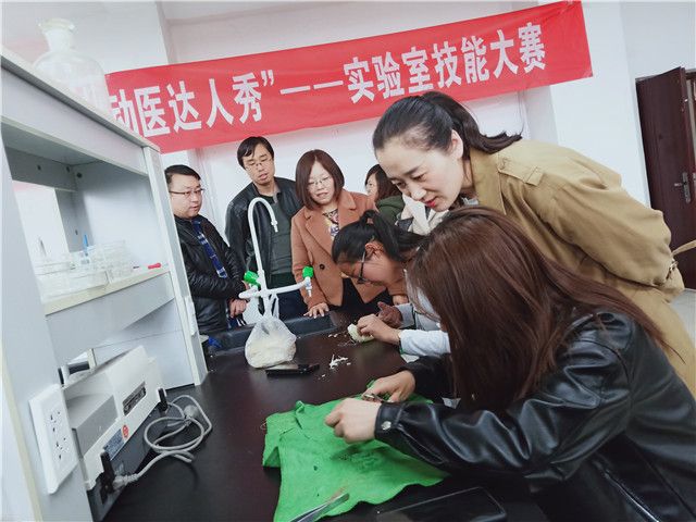 【社团快讯】舞动双手 点亮你的美——食品与环境学院第二届“动医达人秀”实验技能大赛