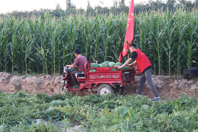 【三下乡】青草地？西瓜群？你见过太谷4点的太阳吗？——环科系2017暑期“北斗星”公益实践团南阳村之行