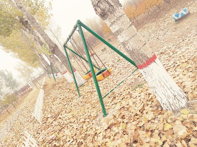 【完满班级】拥抱秋天 美在校园——食品与环境学院土管1901班完满班级活动