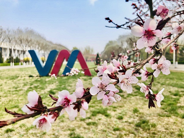 前行第177期:花开右岸 春抚信院