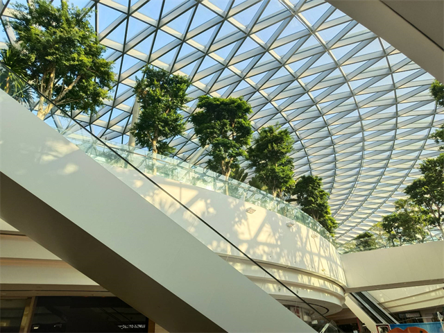 全面把握游学的多重价值——商务英语学院新加坡游学之旅