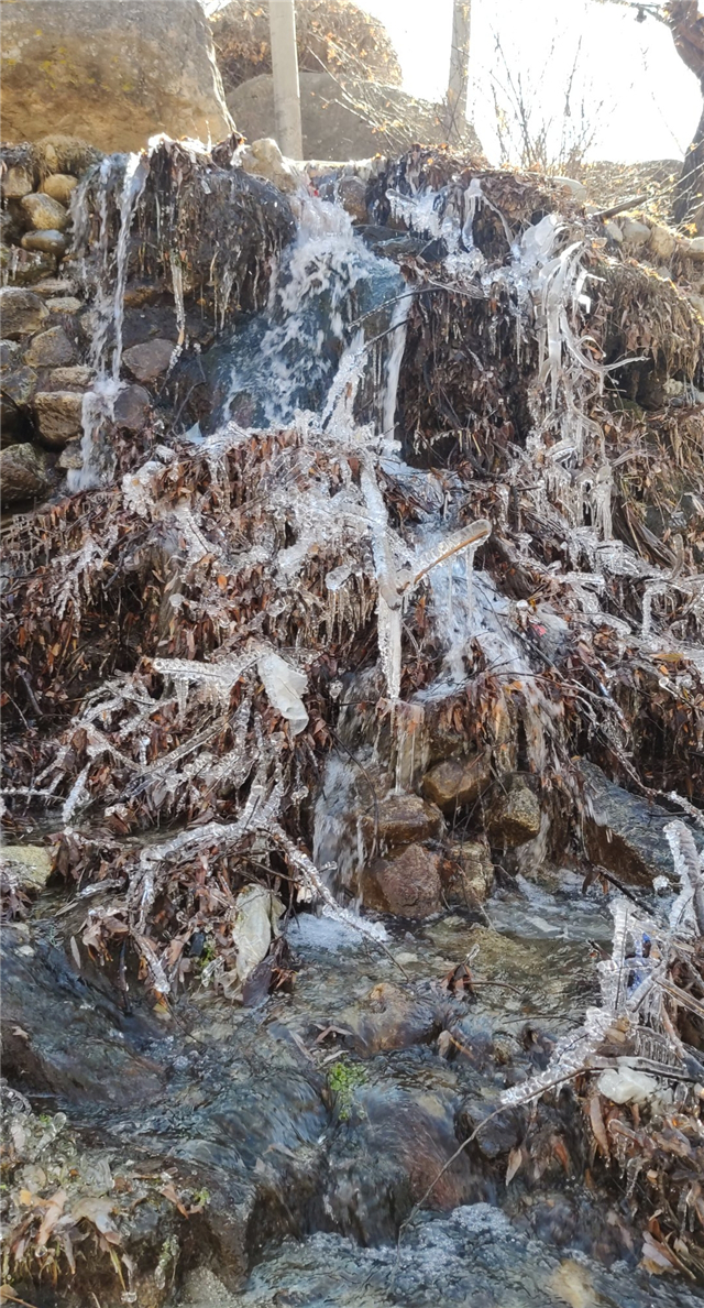 西部之声第20期：去西部和公益谈一场“恋爱”