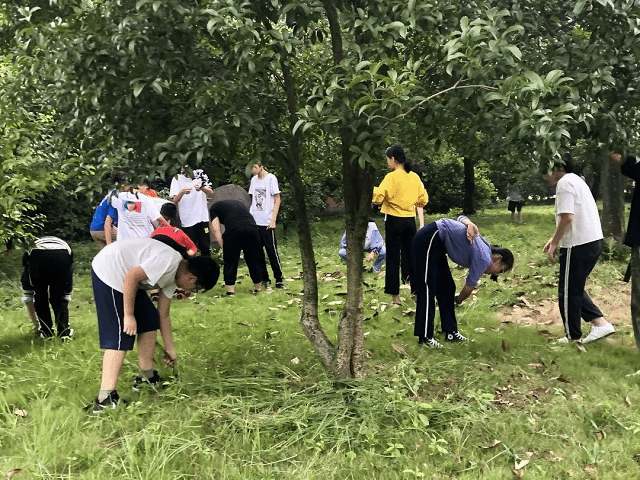 【完满班级】爱心成就梦想真情点燃希望——食品与环境学院动医1902完满班级活动