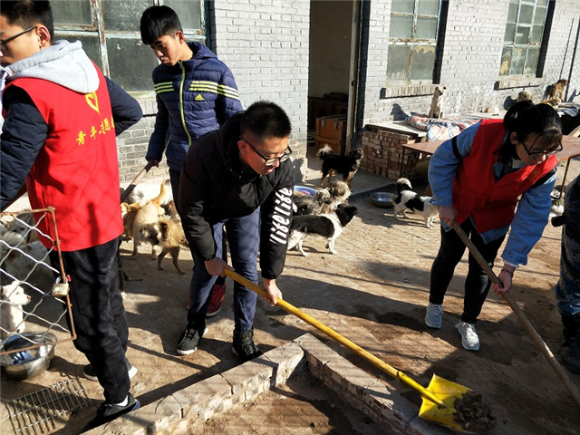 【完满班级】为公益 我们在行动——淬炼商学院举办“善”行青春主题活动（五十五）