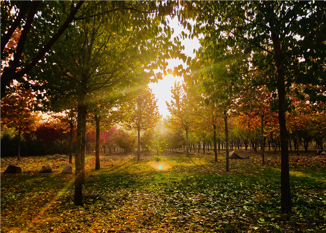 前行第175期:信院美好与你环环相扣