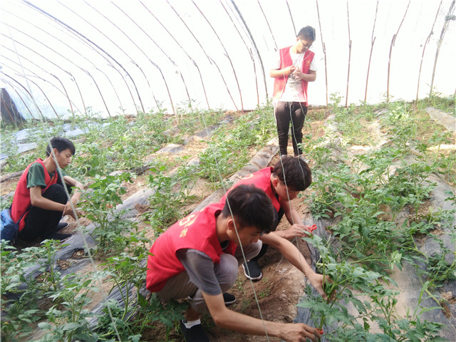 【三下乡】志愿者风采：每一段清浅时光都应被温柔以待