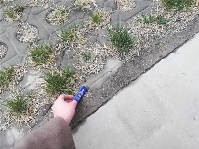 建党百年 爱护环境——服装1701班完满班级活动