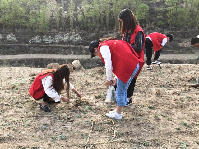 行走的力量第135期:祭奠寒食 忆苦思甜——信息工程系“行走的力量”之清明节文明祭祖宣传行