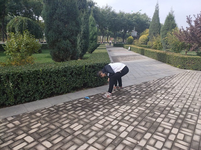 【完满班级】少一片垃圾 多一块净土——食品与环境学院土管1901班完满班级活动