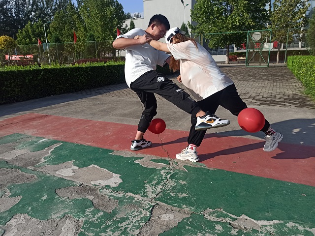 【完满班级】同心协力创佳绩 携手并进争第一——食品与环境学院动医2004班完满班级活动