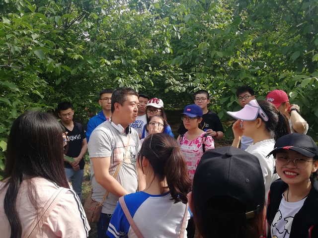 【完满班级】所爱隔山海 山海皆可平——食品与环境学院爱情价值观研讨会