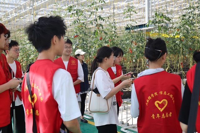 【三下乡】未来农业新模式 一座神奇的“植物工厂”——大数据学院、信息工程学院“智·惠农”太谷农高区产业振兴实践团