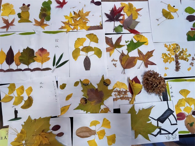 【完满班级】抓住秋的尾巴 留住秋的身影——经济与管理学院2205班完满班级活动