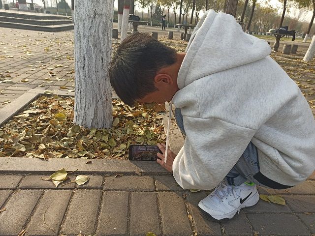 【完满班级】拥抱秋天 最美校园——食品与环境学院动医2004班完满班级活动