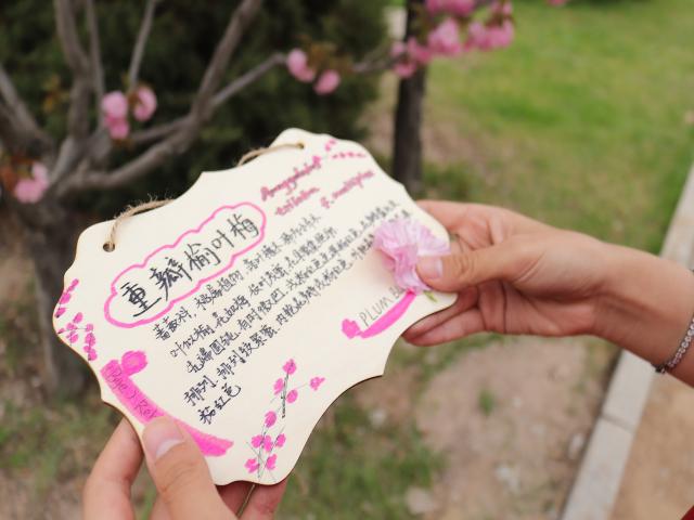 与树相约 追逐春日浪漫——经济与管理学院“树朋友 你好呀”文明实践在行动挂树牌活动