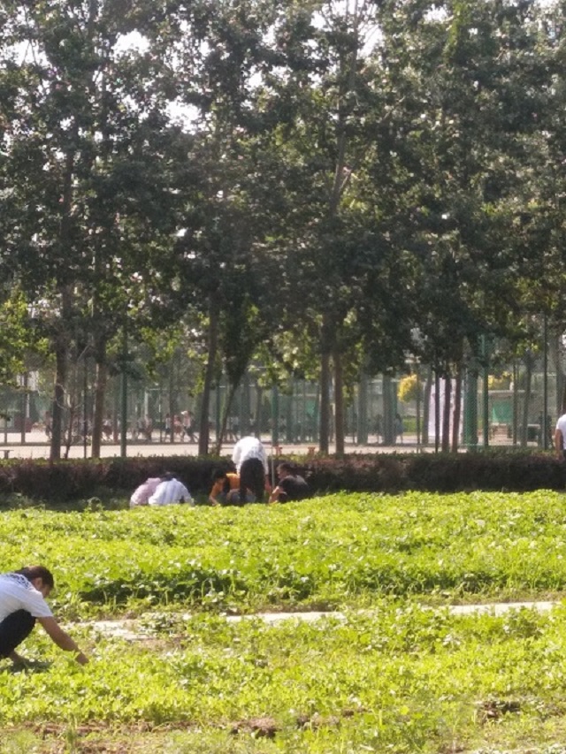 【完满班级】汇聚菁英 展望精英——食品与环境学院园林1603班完满班级活动